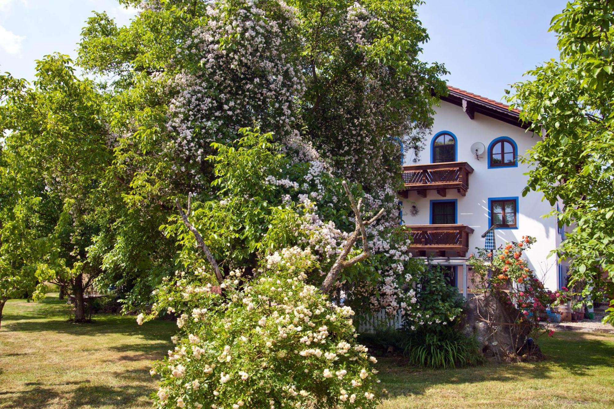 Palling Ferienwohnung Moierhof מראה חיצוני תמונה